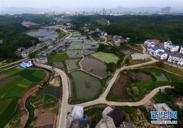 这是江西省赣州市会昌县的古坊村.